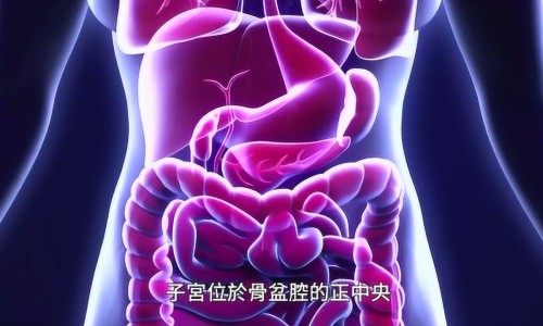 坐月子如何调养身体改善体质-【月子期间怎么加强营养补充】坐月子怎么调养 - 月子期间怎么加强营养网